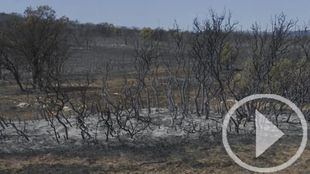 El fuego de Bejís está "en vías de estabilización" y los evacuados ya pueden volver