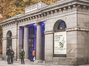 El más viejo y el más alto: ciprés común y olmo del Cáucaso