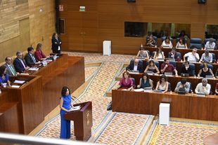 La oposición planta cara a Ayuso y a su gestión