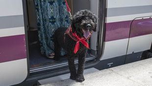 Renfe pone a la venta los billetes para viajar en AVE con perros de hasta 40 kilos