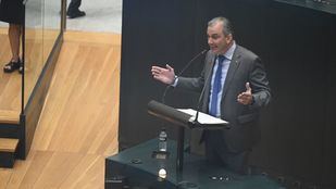 Vox plantea ayudas a fondo perdido para los afectados por el incendio en Mercamadrid