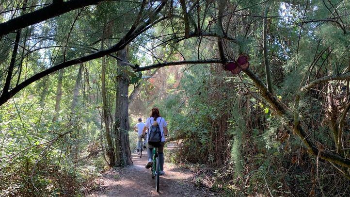 Senda Mágica de Arroyomolinos