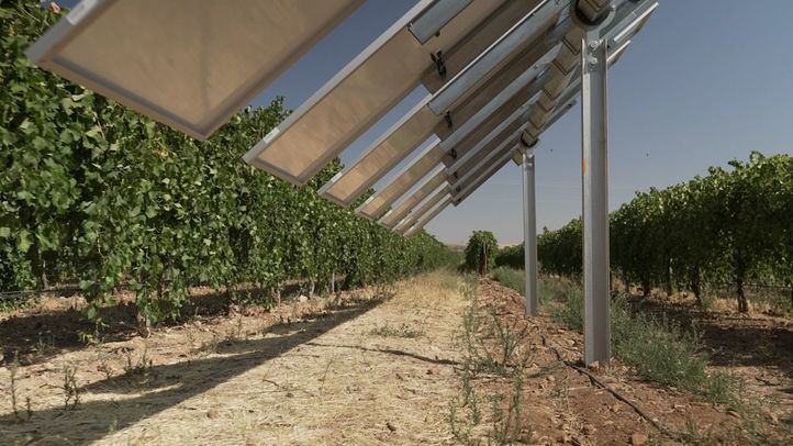 Iberdrola pone en marcha en Toledo la primera planta agrovoltaica inteligente de España