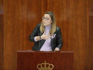 El PSOE-M apuesta por un sistema fiscal que redistribuya la riqueza