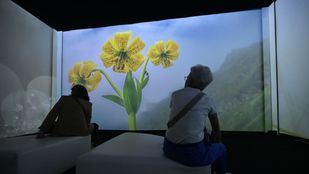 ‘Andorra al natural’, un viaje por el país pirenaico sin salir de Madrid