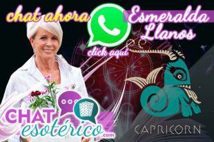 Si Capricornio no te escribe