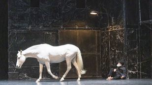 ‘Falaise’: comienza el Festival de Otoño