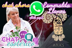 Hoy con la tirada del tarot del amor casi gratis señala que Aries es arriesgado