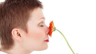 Rinoplastia y blefaroplastia, equilibrio y belleza en un solo paso