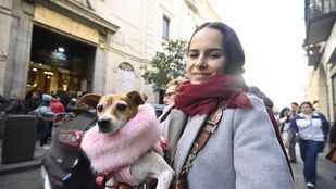 Las mascotas madrileñas reciben la bendición de San Antón