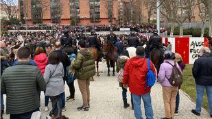 El "arboricidio" trasciende la protesta vecinal y muta en arma electoral