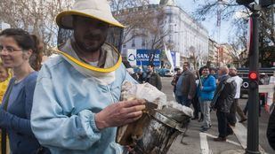 Los apicultores madrileños, en defensa del sector