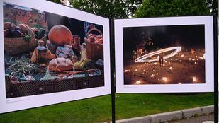 Patrimonio Cultural y bosques, las dos nuevas exposiciones en el Retiro
