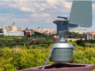 Niveles altos de polen de llantén en varios puntos de la Comunidad