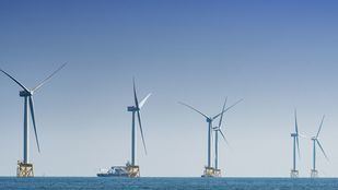 Iberdrola firma un acuerdo para suministrar energía eólica marina a la siderúrgica alemana SHS
