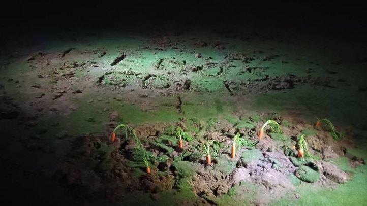 Imagen de la madrugada del sábado de un campo de golf del norte de Madrid