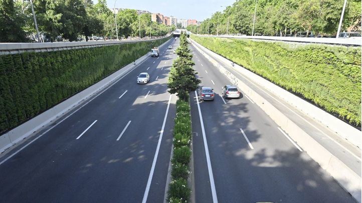Jardines verticales en los muros de la M-30 entre la glorieta de Nueva Zelanda y la de Mariano Salvador Maella, en la avenida de la Ilustración.