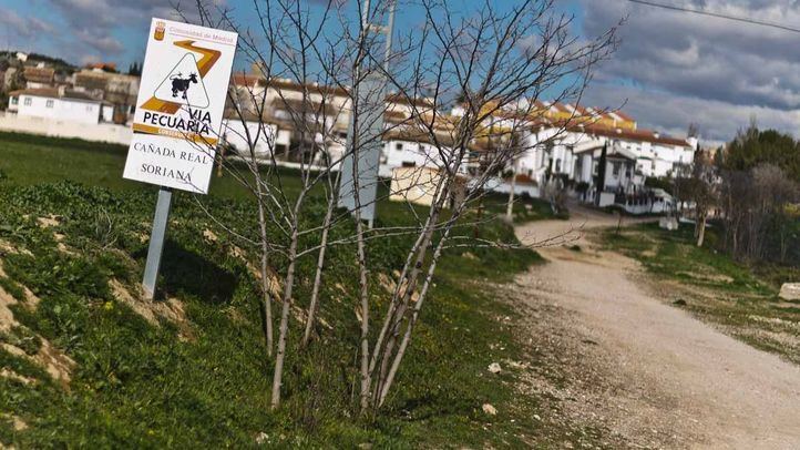 Via pecuaria a su paso por Fuentidueña de Tajo.