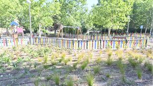 Parque Z en Moratalaz.