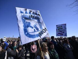 Un año clave para el arbolado en Madrid