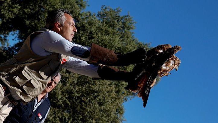 El consejero de Medio Ambiente, Agricultura e Interior de la Comunidad de Madrid, Carlos Novillo, durante una visita al Centro de Recuperación de Animales Silvestres (CRAS)