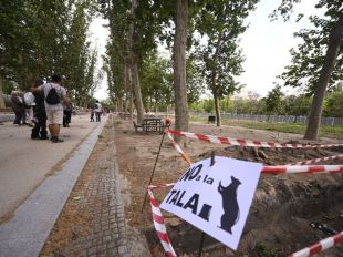 El Parlamento Europeo debatirá en septiembre sobre la tala de árboles por la ampliación de la línea 11 de Metro