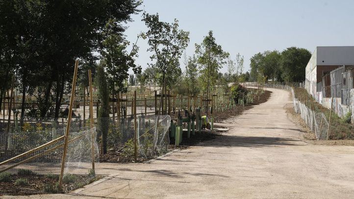 Vista de uno de los paseos del nuevo parque semiforestal de Las Rosas