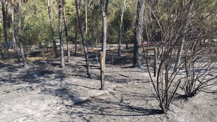 Terreno quemado en el incendio de Batres en 2021