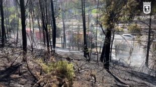 Extinguido un pequeño incendio en una zona arbolada junto a la M-30