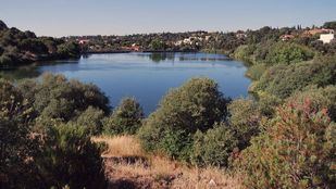 La Comunidad apuesta por declarar el embalse de Peñascales como Zona Especial de Protección