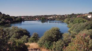 Embalse de Peñascales: la Comunidad informa a Torrelodones de sus valores ambientales, pero no inicia ningún trámite