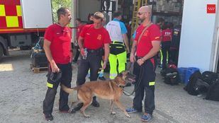 El ERICAM ya trabaja sobre el terreno en Marruecos y Cibeles envía guías caninos