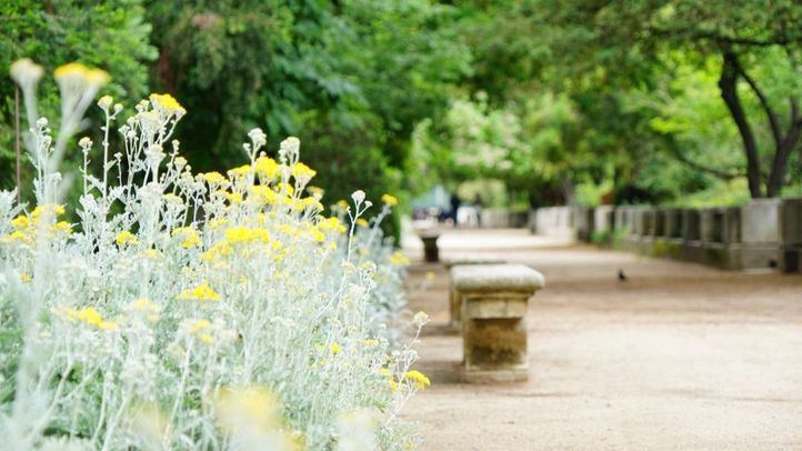 Real Jardín Botánico
