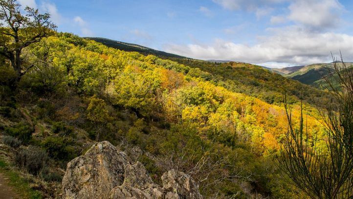 La Reserva Natural de Hayedo de Montejo, en la Sierra de Ayllón al norte de la Comunidad de Madrid.