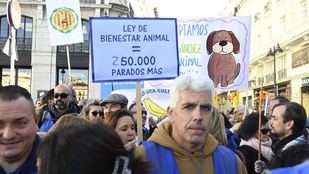 ¿Necesito un seguro para mi perro?