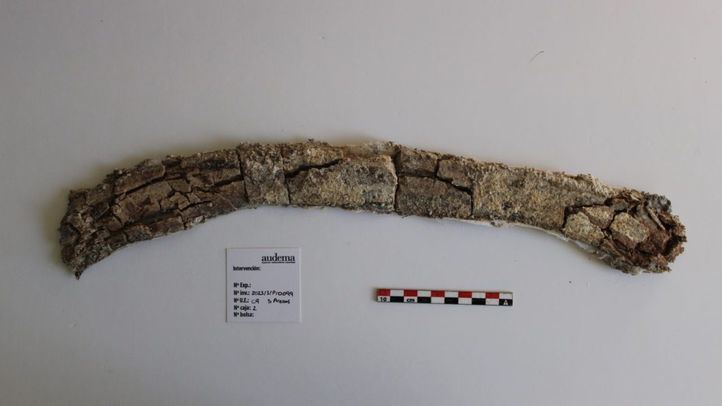 Costilla de uno de los elefantes hallados en La Atalayuela