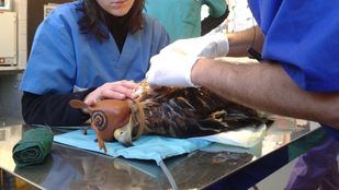 Grefa recoge firmas para no ser “desahuciada” de Majadahonda