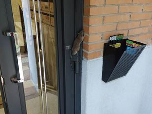 Los vecinos alertan de un incremento de ratas en algunos barrios de la capital