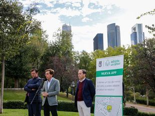 Los nuevos madrileños podrán ‘adoptar’ un árbol de la capital