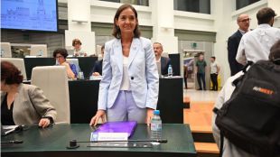 Maroto contará con un edil menos en el Pleno de Cibeles hasta la incorporación de María Caso