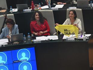 La polémica por las talas tensa el Pleno de Cibeles