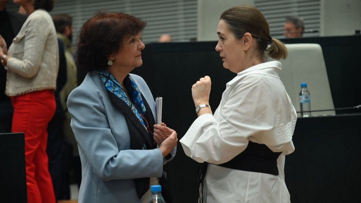 Marta Rivera de la Cruz durante el Pleno de Cibeles