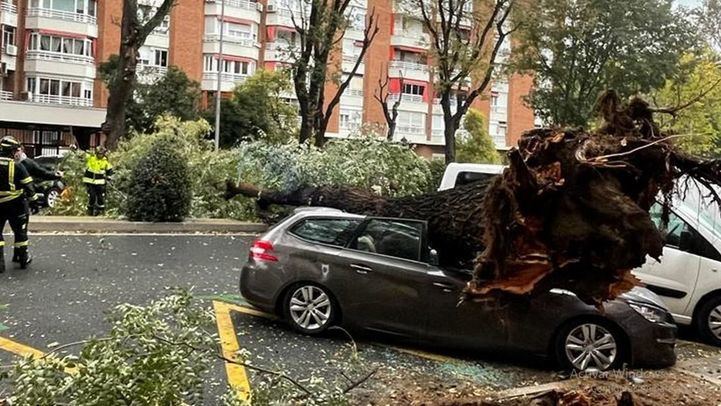 Un árbol cae sobre un coche en Embajadores