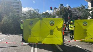 Fallece una joven golpeada por un árbol tumbado por el viento en la calle Almagro