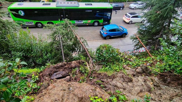 La borrasca 'Ciarán' provoca la caída de árboles en Rivas
