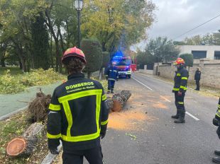 Bomberos realizan más de un centenar de intervenciones derivadas del viento