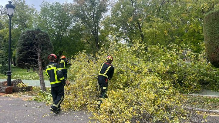 Bomberos retirando ramas y árboles caídos por el temporal.