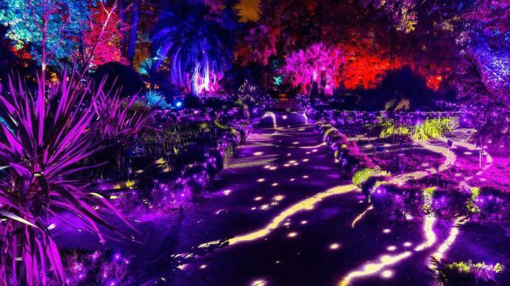 El Parque Enrique Tierno Galván acogerá el evento de navidad 'Naturaleza encendida'