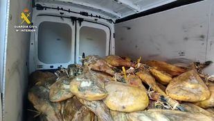 Detenidos dos individuos por robar más de 700 piezas de ibéricos