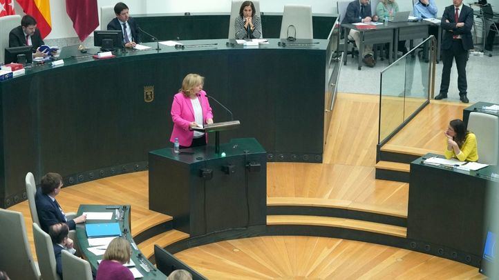 La vicealcaldesa y portavoz municipal ha sido la encargada de responder a la izquierda en el Pleno